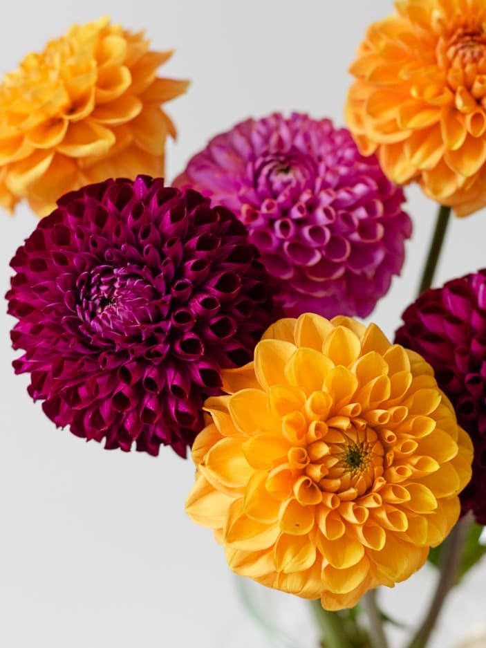 Букет 1787
