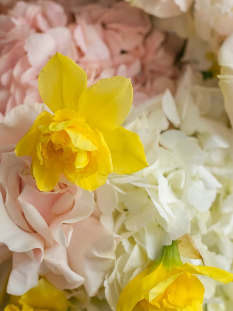 Букет 192 ДЕНЬ ВЛЮБЛЕННЫХ